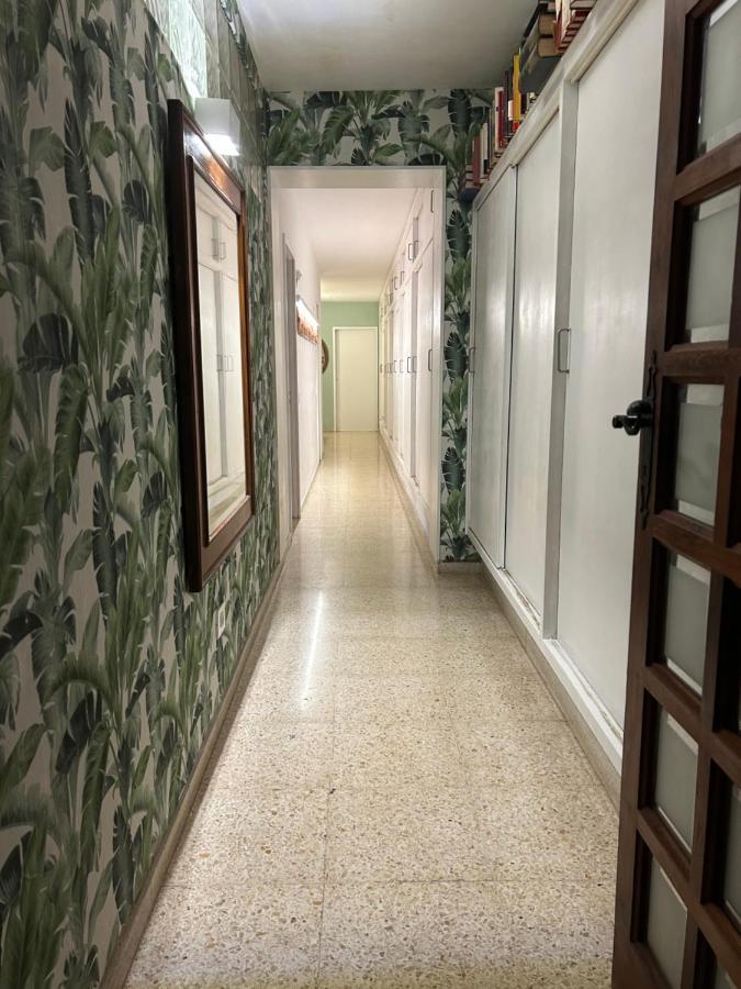 סנטה קרוז דה טנריף Niko Rooms מראה חיצוני תמונה